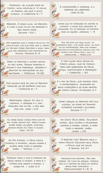 Item do Kit 2